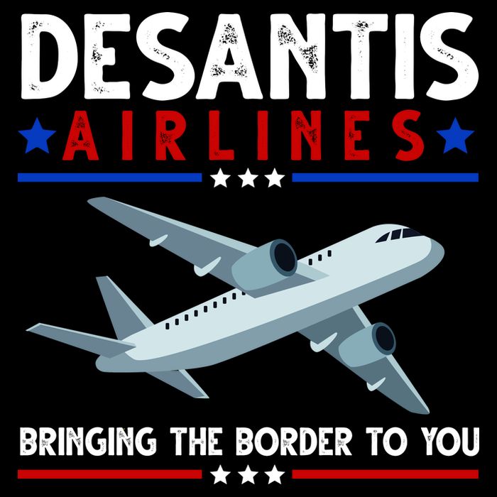 Desantis Airlines Bringing The Border To You Toddler Hoodie