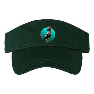 Dabber Raven Top Hat Valucap Bio-Washed Visor