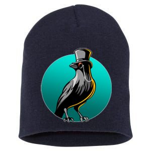 Dabber Raven Top Hat Short Acrylic Beanie