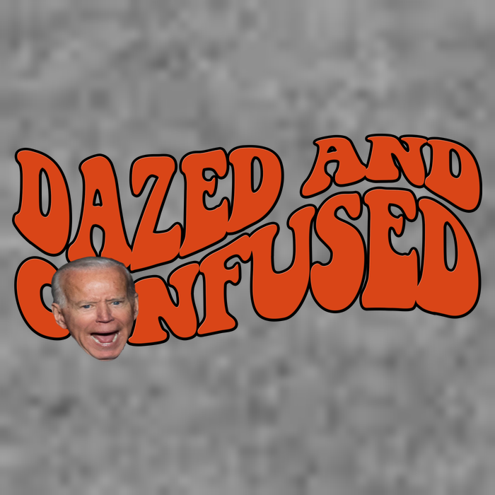 Dazed And Confused Funny Joe Biden Retro Cropped Pullover Crew