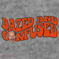Dazed And Confused Funny Joe Biden Retro Short Acrylic Beanie
