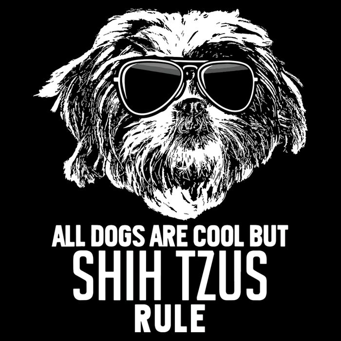 Dogs Are Cool But Shih Tzus Rule Funny Stripe Pom Pom Beanie