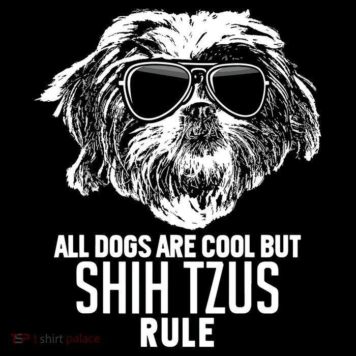Dogs Are Cool But Shih Tzus Rule Funny Drawstring Bag
