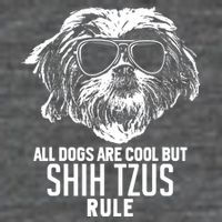 Dogs Are Cool But Shih Tzus Rule Funny Button