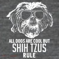Dogs Are Cool But Shih Tzus Rule Funny Mesh Reversible Basketball Jersey Tank