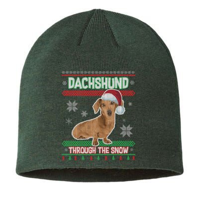 Dachshund Dog Funny Wiener Ugly Christmas Sustainable Beanie
