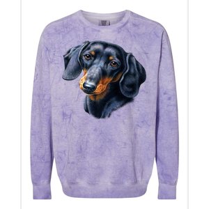 Dachshund Face Colorblast Crewneck Sweatshirt