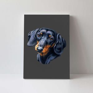 Dachshund Face Canvas