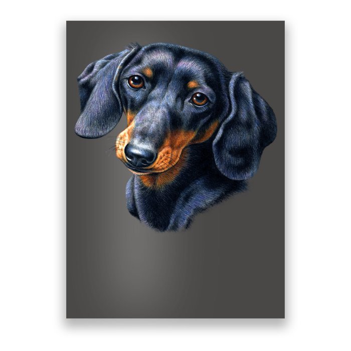 Dachshund Face Poster