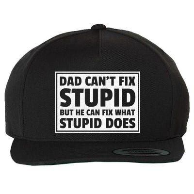 Dad Can't Fit Stupid But He Can What Stupid Does Wool Snapback Cap