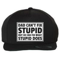 Dad Can't Fit Stupid But He Can What Stupid Does Wool Snapback Cap