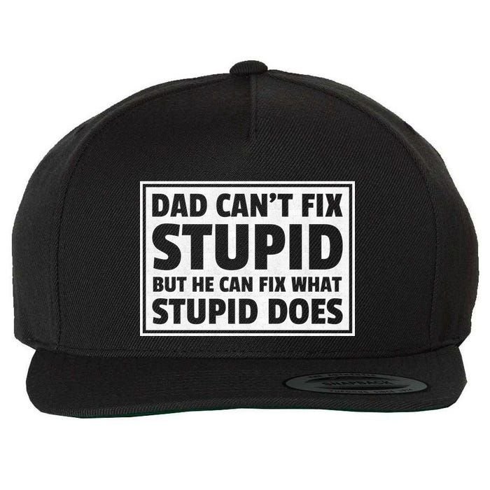 Dad Can't Fit Stupid But He Can What Stupid Does Wool Snapback Cap