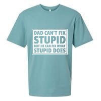 Dad Can't Fit Stupid But He Can What Stupid Does Sueded Cloud Jersey T-Shirt