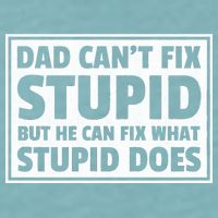 Dad Can't Fit Stupid But He Can What Stupid Does Sueded Cloud Jersey T-Shirt