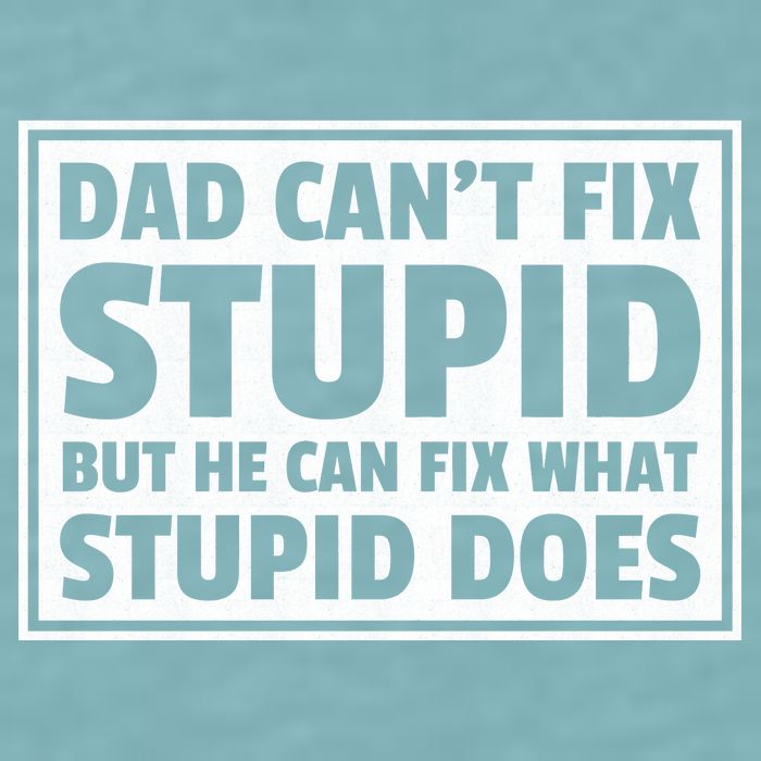 Dad Can't Fit Stupid But He Can What Stupid Does Sueded Cloud Jersey T-Shirt