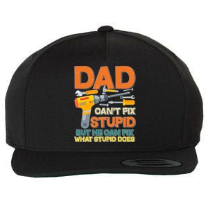 Dad Can't Fix Stupid But He Can Fix What Stupid Does Wool Snapback Cap