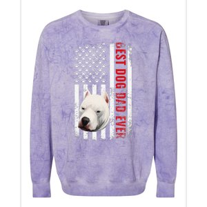 Dogo Argentino Dad Dog Lover American Flag Usa Pride Colorblast Crewneck Sweatshirt