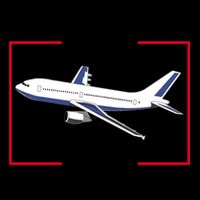 DeSantis Airlines Mug
