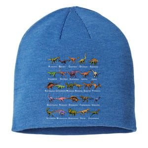 Dinosaur Alphabet Dino Pre Historic Animal Dinosaur Lover Gift Sustainable Beanie