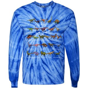 Dinosaur Alphabet Dino Pre Historic Animal Dinosaur Lover Gift Tie-Dye Long Sleeve Shirt