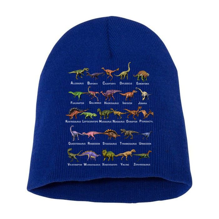 Dinosaur Alphabet Dino Pre Historic Animal Dinosaur Lover Gift Short Acrylic Beanie