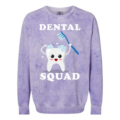 Dental Assistant Dentist Student Dental Squad Gift Funny Gift Colorblast Crewneck Sweatshirt