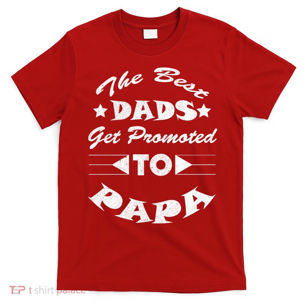 Dads Get Promoted To Papa Funny Father's Day T-Shirt