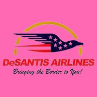 DeSantis Airlines Funny Political Meme DeSantis Airlines Ron DeSantis Stripe Pom Pom Beanie
