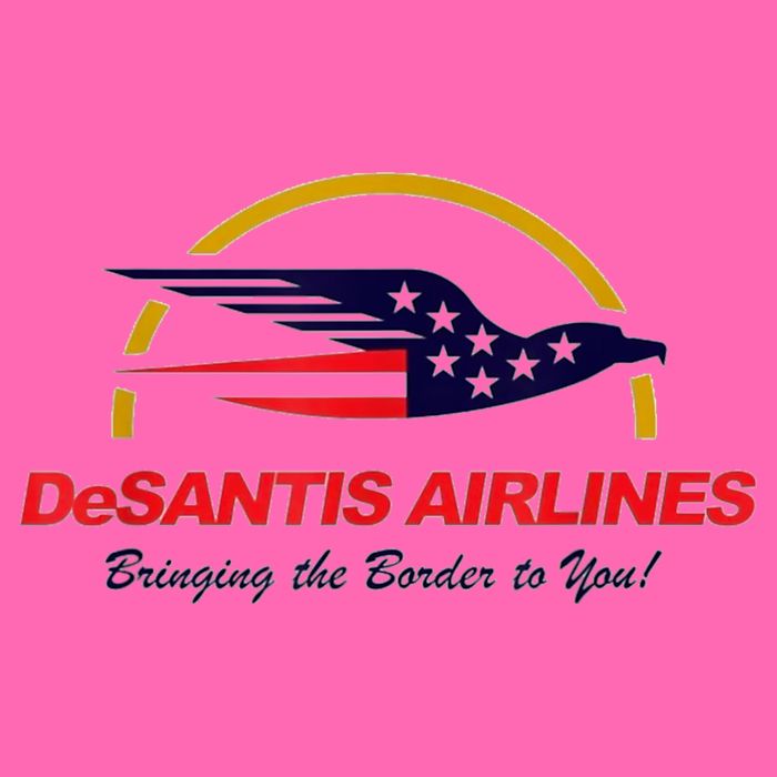DeSantis Airlines Funny Political Meme DeSantis Airlines Ron DeSantis Stripe Pom Pom Beanie
