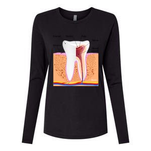 Dental Anatomy For Normal Tooth Dentin Enamel Gingiva Pulp Meaningful Gift Womens Cotton Relaxed Long Sleeve T-Shirt