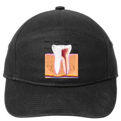 Dental Anatomy For Normal Tooth Dentin Enamel Gingiva Pulp Meaningful Gift 7-Panel Snapback Hat