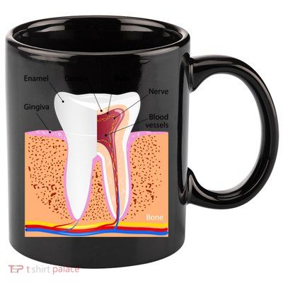 Dental Anatomy For Normal Tooth Dentin Enamel Gingiva Pulp Meaningful Gift 11oz C Handle Ceramic Mug
