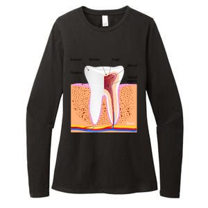 Dental Anatomy For Normal Tooth Dentin Enamel Gingiva Pulp Meaningful Gift Womens CVC Long Sleeve Shirt