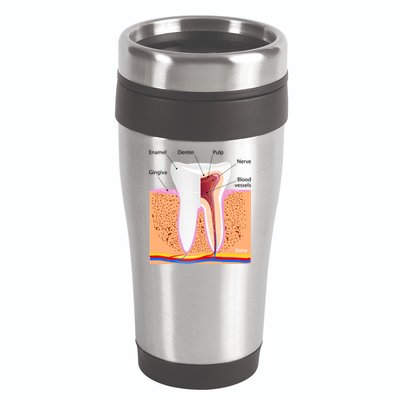 Dental Anatomy For Normal Tooth Dentin Enamel Gingiva Pulp Meaningful Gift 16oz Travel Tumbler