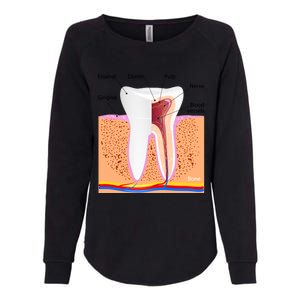 Dental Anatomy For Normal Tooth Dentin Enamel Gingiva Pulp Meaningful Gift Womens California Wash Sweatshirt