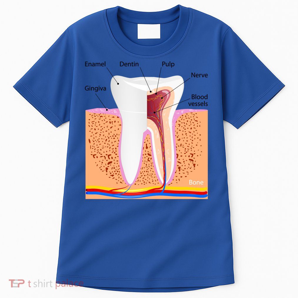 Dental Anatomy For Normal Tooth Dentin Enamel Gingiva Pulp Meaningful Gift Tall T-Shirt