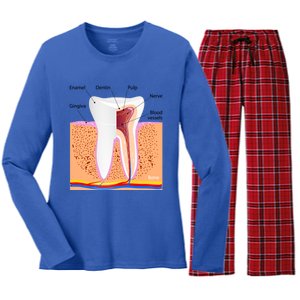 Dental Anatomy For Normal Tooth Dentin Enamel Gingiva Pulp Meaningful Gift Women's Long Sleeve Flannel Pajama Set 