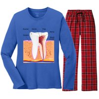 Dental Anatomy For Normal Tooth Dentin Enamel Gingiva Pulp Meaningful Gift Women's Long Sleeve Flannel Pajama Set 