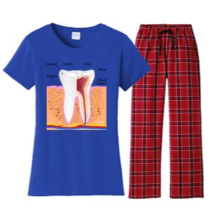 Dental Anatomy For Normal Tooth Dentin Enamel Gingiva Pulp Meaningful Gift Women's Flannel Pajama Set