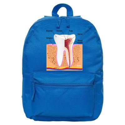 Dental Anatomy For Normal Tooth Dentin Enamel Gingiva Pulp Meaningful Gift 16 in Basic Backpack