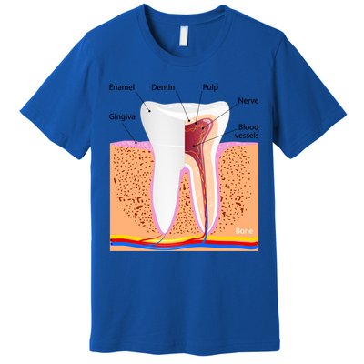Dental Anatomy For Normal Tooth Dentin Enamel Gingiva Pulp Meaningful Gift Premium T-Shirt