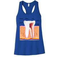 Dental Anatomy For Normal Tooth Dentin Enamel Gingiva Pulp Meaningful Gift Women's Racerback Tank