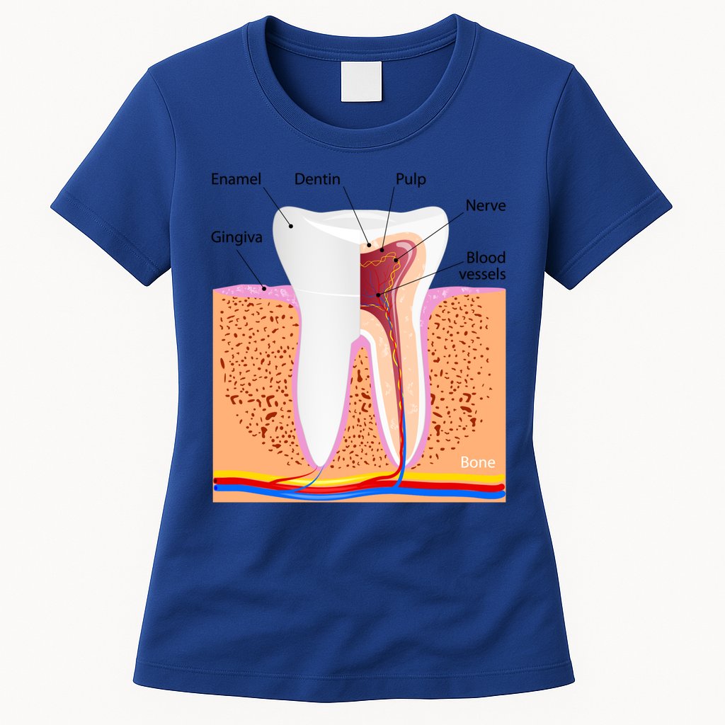 Dental Anatomy For Normal Tooth Dentin Enamel Gingiva Pulp Meaningful Gift Womens T-Shirt