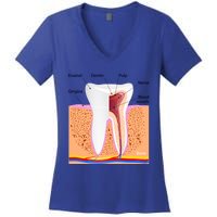 Dental Anatomy For Normal Tooth Dentin Enamel Gingiva Pulp Meaningful Gift Women's V-Neck T-Shirt