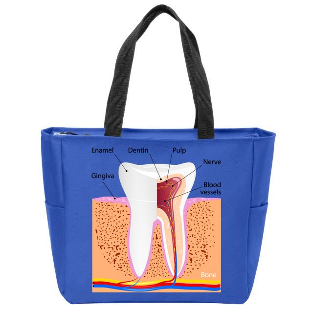 Dental Anatomy For Normal Tooth Dentin Enamel Gingiva Pulp Meaningful Gift Zip Tote Bag