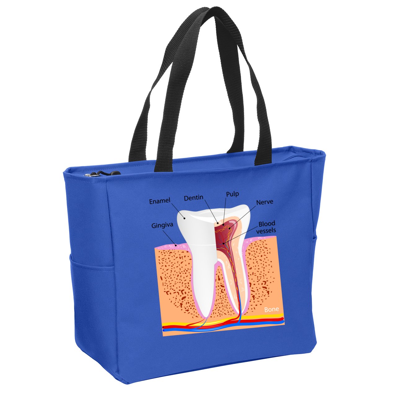 Dental Anatomy For Normal Tooth Dentin Enamel Gingiva Pulp Meaningful Gift Zip Tote Bag