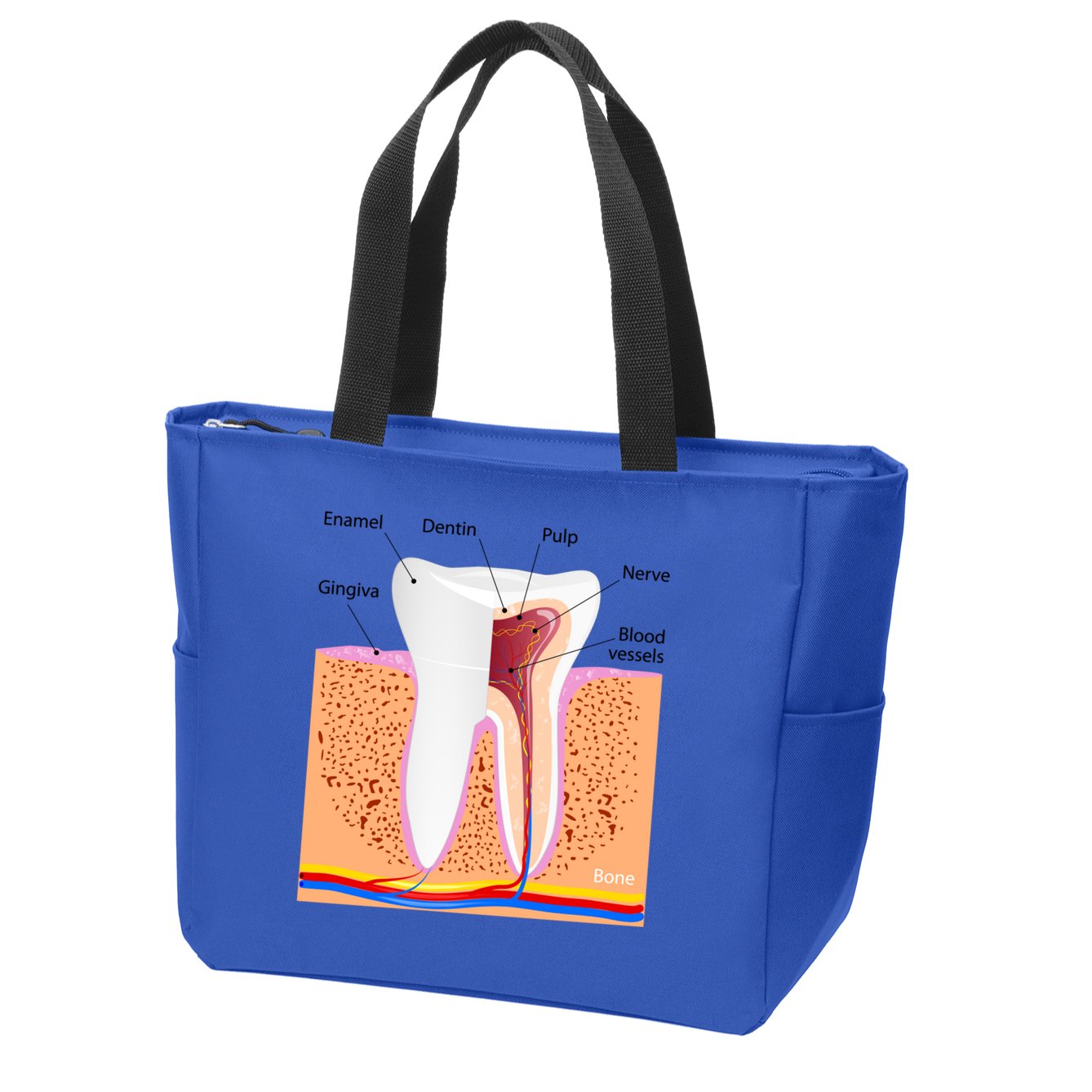 Dental Anatomy For Normal Tooth Dentin Enamel Gingiva Pulp Meaningful Gift Zip Tote Bag