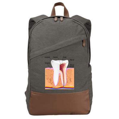 Dental Anatomy For Normal Tooth Dentin Enamel Gingiva Pulp Meaningful Gift Cotton Canvas Backpack