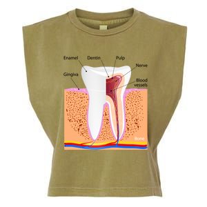 Dental Anatomy For Normal Tooth Dentin Enamel Gingiva Pulp Meaningful Gift Garment-Dyed Women's Muscle Tee