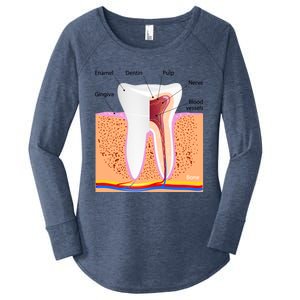 Dental Anatomy For Normal Tooth Dentin Enamel Gingiva Pulp Meaningful Gift Women's Perfect Tri Tunic Long Sleeve Shirt